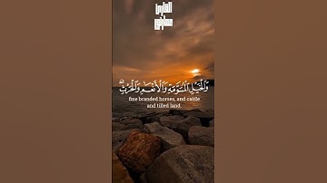 ( زين للناس حب الشهوات من النساء ) 📖 تلاوة خاشعة من سورة آل عمران #سورة_آل_عمران #قرآن#quran#اكسبلور