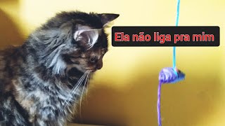 Um dia com minha gata -Xhillde