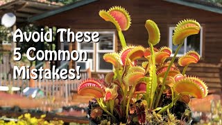 Venus Flytrap  5 Common Mistakes to Avoid for a Vibrant Plant