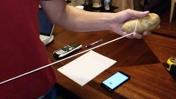 Lab 10 - Simple Harmonic Motion