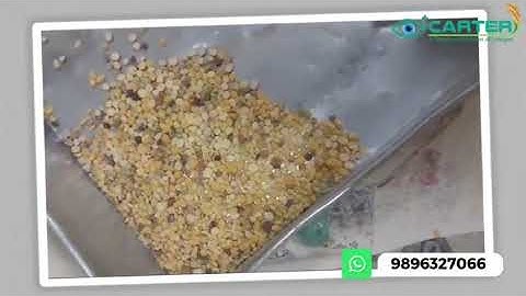 Color Sorting Excellence: Elevating Chana Dal Quality Standards || Carter Unique Group