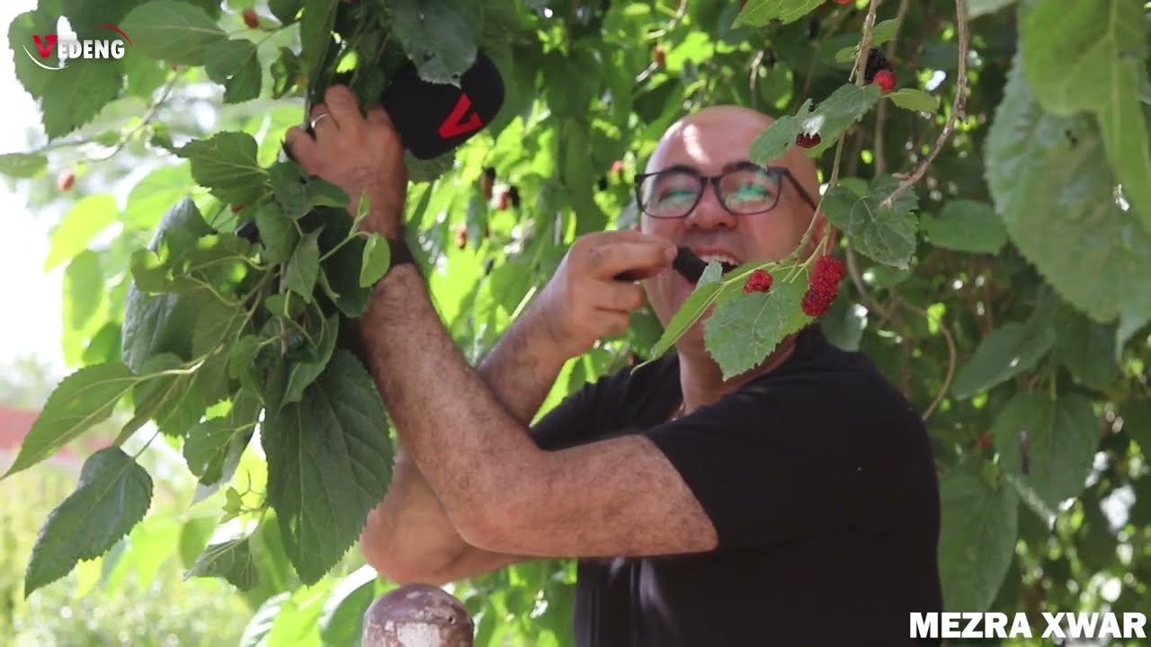 قرية مزري تحتاني ,Mezra xwar, تاريخها , موقعها ,عدد سكانها في برنامج يارايح عضيعتنا مع شعلان السيد