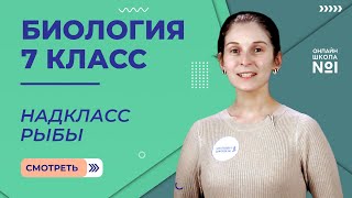 Надкласс Рыбы. Урок 18. Биология 7 класс