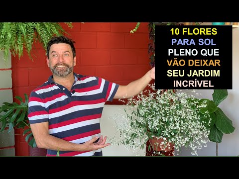 Vídeo: As estufas devem ficar em pleno sol?