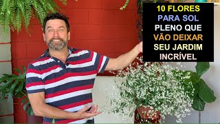 10 Tipos de Plantas Para Plantar em Sol Pleno