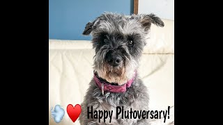 Happy Plutoversary