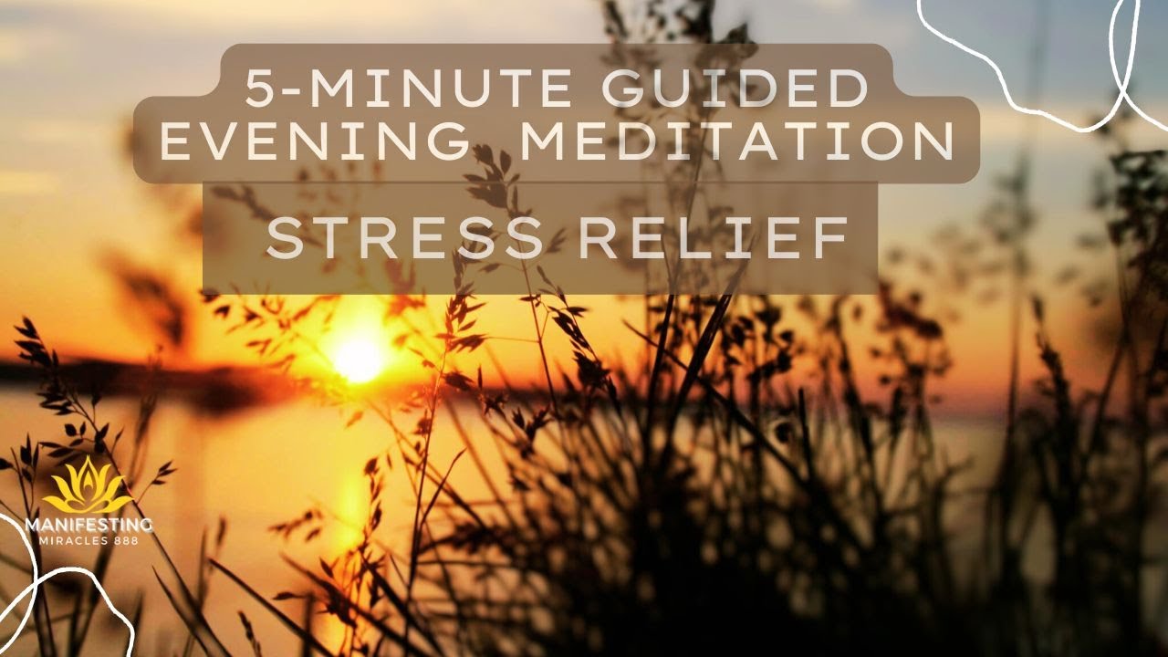 5 Minute Evening Guided Meditation Stress Relief & Reflection - YouTube
