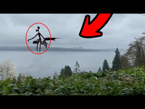 Videó: Megtaláltam A Loch Ness Szörnyeteg 