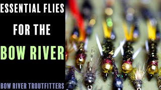 These are the flies you need for the Bow River