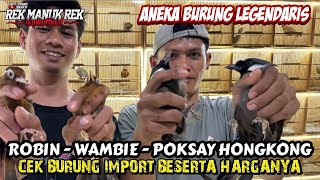 SEPIL BURUNG IMPORT BESERTA HARGANYA - BURUNG LEGENDARISE ROBIN - WAMBIE - POKSAY HONGKONG 