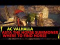 Ac valhalla asta the great summoner  wayward mystery  east anglia  where to find horse skinfaxi