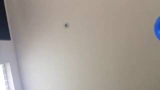 49858480793  DFFD251B D541 4AE8 8771 771CFF83EB7E