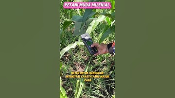 Lux meter adalah alat ukur intensitas cahaya dengan satuan lux (lx)