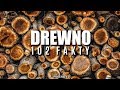 DREWNO - 102 FAKTY