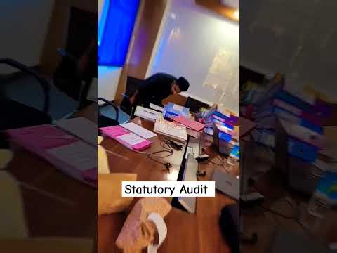 Statutory Audit
