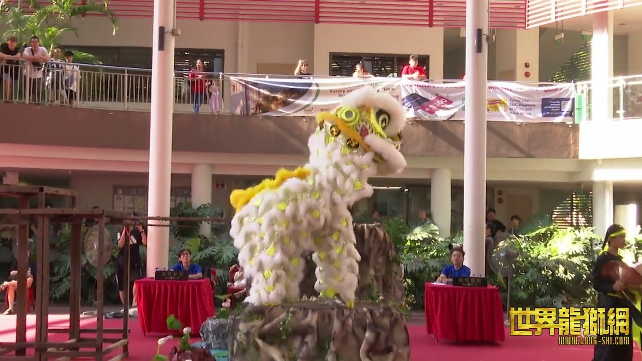 南洋醒狮学院A队 Namyang Lion Dance Centre Team A