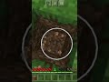 Checking my luck by digging straight down in Minecraft