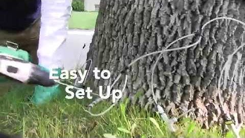 Q Connect Quick Overview