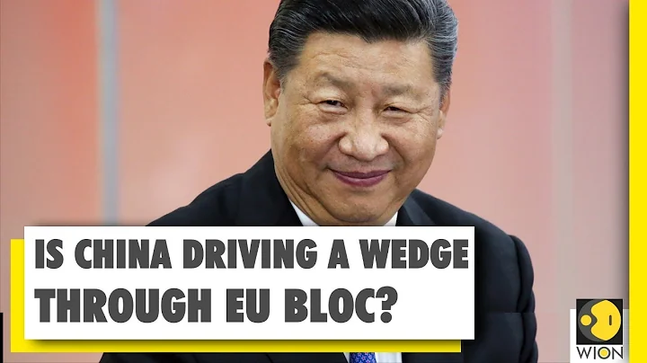 EU's new report claims China is trying to 'divide & rule' | World News | WION - DayDayNews