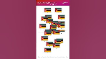 Find the Odd Flag - Part 12 | Odd One Out | Short