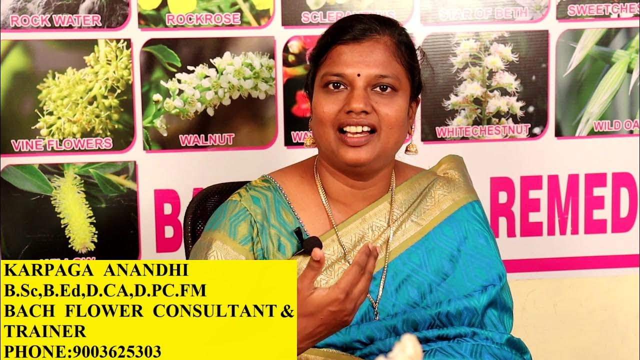 Does Bach Flower Remedy Work My personal Experience YouTube