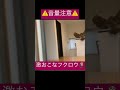 激おこなフクロウ 激おこなフクロウ