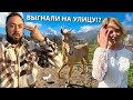 Закончилась аренда дома.. Неприятный разговор с владельцем. Что будет с животными? Жизнь в деревне