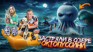ЗАСТРЯЛИ В ОЗЕРЕ БЛЮБЕРИНИ ОКТОПУССИНИ С КОТОМ И СОБАКОЙ НА 24 ЧАСА