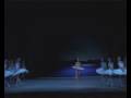 Ballet swan lake odette kodaelena nikolaeva