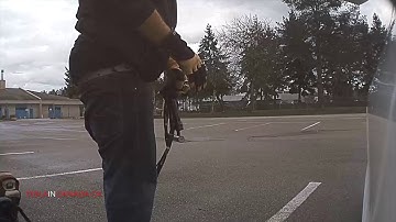 Sentry Mode captures thief trying to break rear window of Tesla Model 3