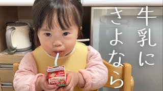 【ダウン症】牛乳にさよならジュースの美味しさを知ったおやつタイム【2歳】