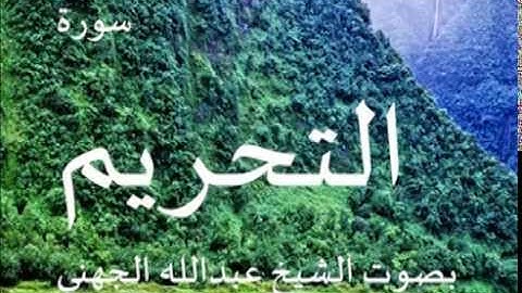سورة التحريم بصوت الشيخ/ عبدالله الجهني 66