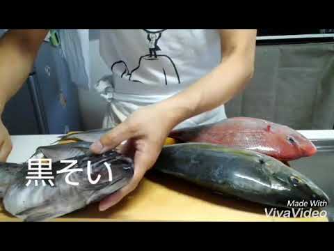 魚三昧 黒そい 真鯵編 Youtube