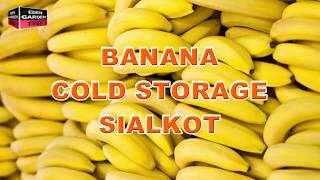 Banana Cold Storage Sialkot ! Very Informative Video !