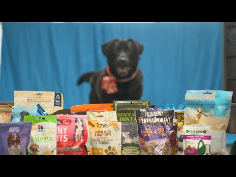 Vidéo: Quelle est la meilleure nourriture pour chien en épicerie ?