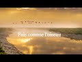 Michel Fugain  &amp; Le Big Bazar  (Paroles)  Fais comme l&#39;oiseau  -  4K