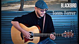 Blackbird -The Beatles Cover By Tonny Ferrer