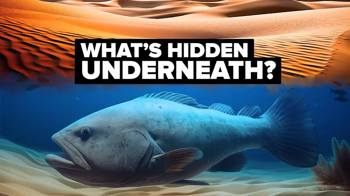 What's Actually Hiding Under the Sands of Sahara