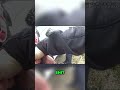 Police Confrontation Goes WRONG in Backyard Standoff!