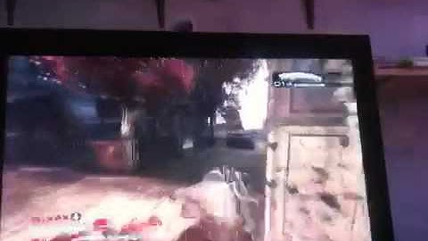 I hate bots! Omg! Gow2 bots!