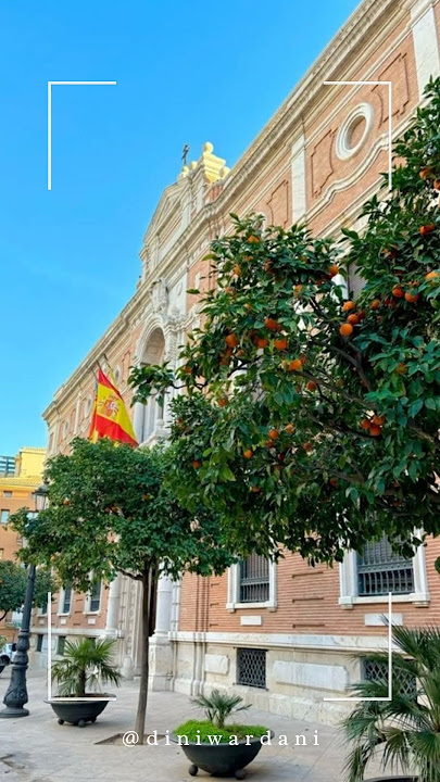 Di kota ini jeruk ditanam tapi bukan untuk dimakan #valencia #spanyol #spain