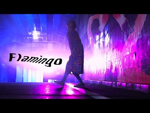MV Flamingo 米津玄師 Covered By あさぎーにょ