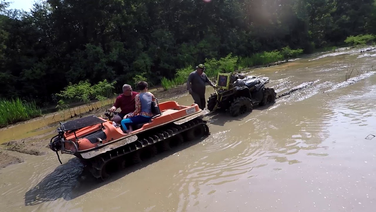 Looks Like Argo Territory