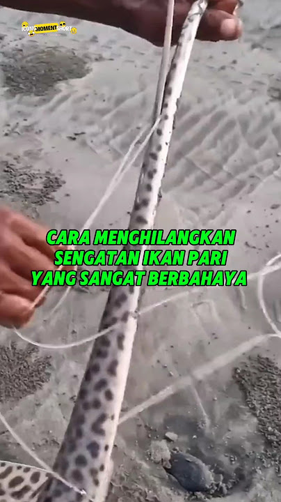 HOW TO GET RID OF A VERY DANGEROUS STINGRAY #shorts