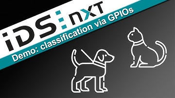Image classification with IDS NXT