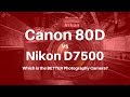 Canon 80D vs Nikon D7500 - Which is the BETTER Photography Camera?