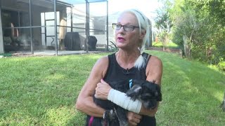 Florida woman punches gator after it dragged her 4-month-old puppy into creek
