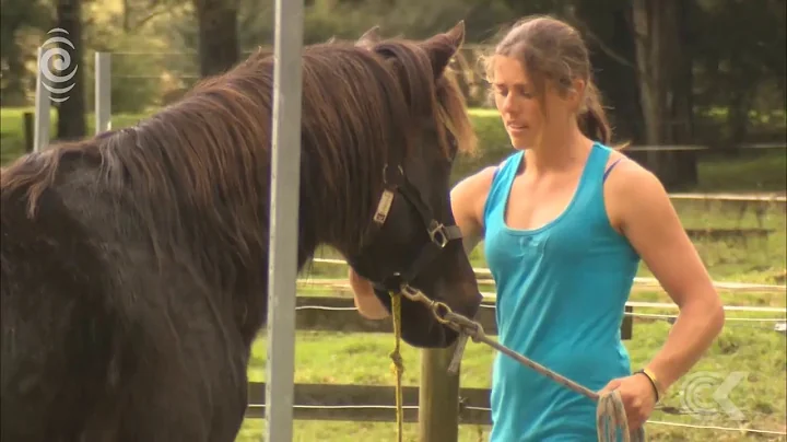 NZ equestrian wins $140k world championship with d...