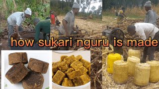 HOW SUKARI NGURU IS MADE #viral #vlog #sukariguru #sukaringuru