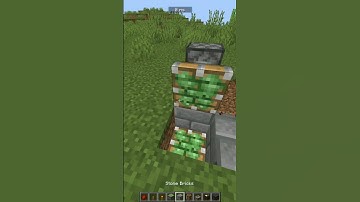 Double block swapper in Minecraft #shorts